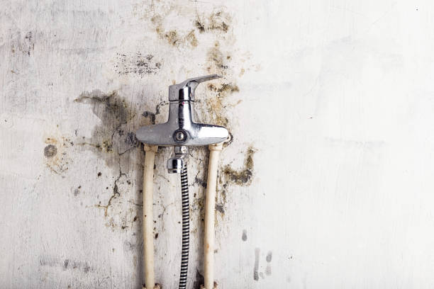 Mold Removal and Inspection in Euless, TX