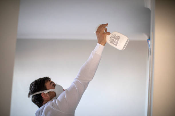 Best Mold Remediation  in Euless, TX