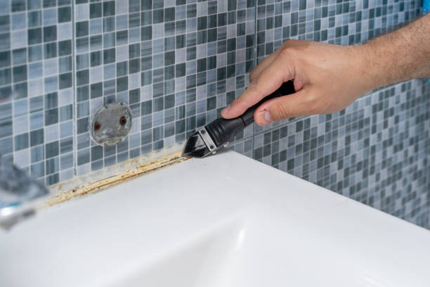 Best Affordable Mold Removal  in Euless, TX