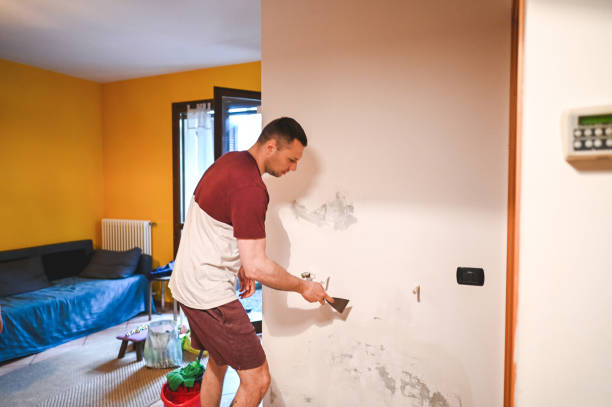 Best Attic Mold Removal  in Euless, TX